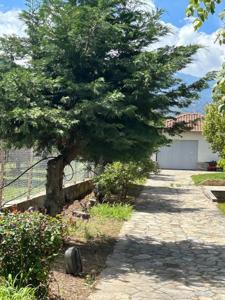 Zeusplace Karia Villa Natura Лептокария Экстерьер фото
